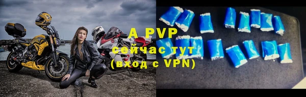 дживик Богородск