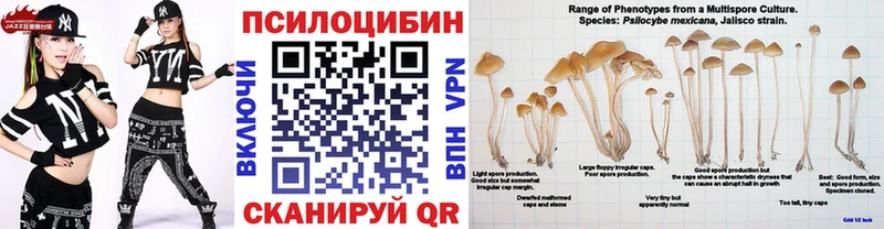 маркетплейс формула  Болгар  Галлюциногенные грибы GOLDEN TEACHER  MEGA tor 